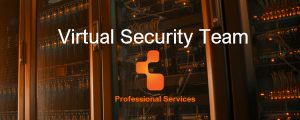 Virtual Security Team