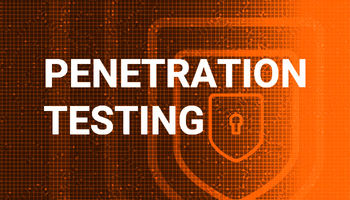 The Vital Role of Penetration Testing in 2024